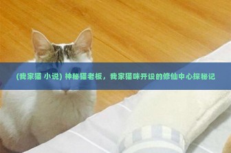 (我家猫 小说) 神秘猫老板，我家猫咪开设的修仙中心探秘记