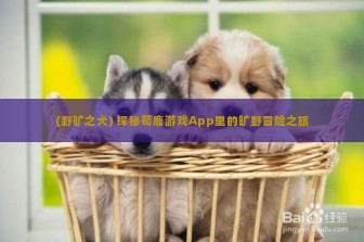 (野旷之犬) 探秘荀鹿游戏App里的旷野冒险之旅