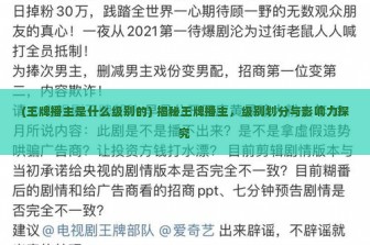 (王牌播主是什么级别的) 揭秘王牌播主，级别划分与影响力探究