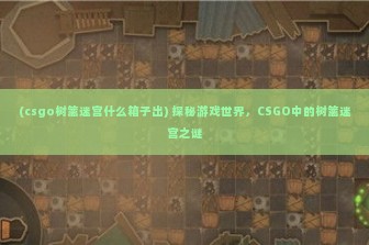 (csgo树篱迷宫什么箱子出) 探秘游戏世界，CSGO中的树篱迷宫之谜